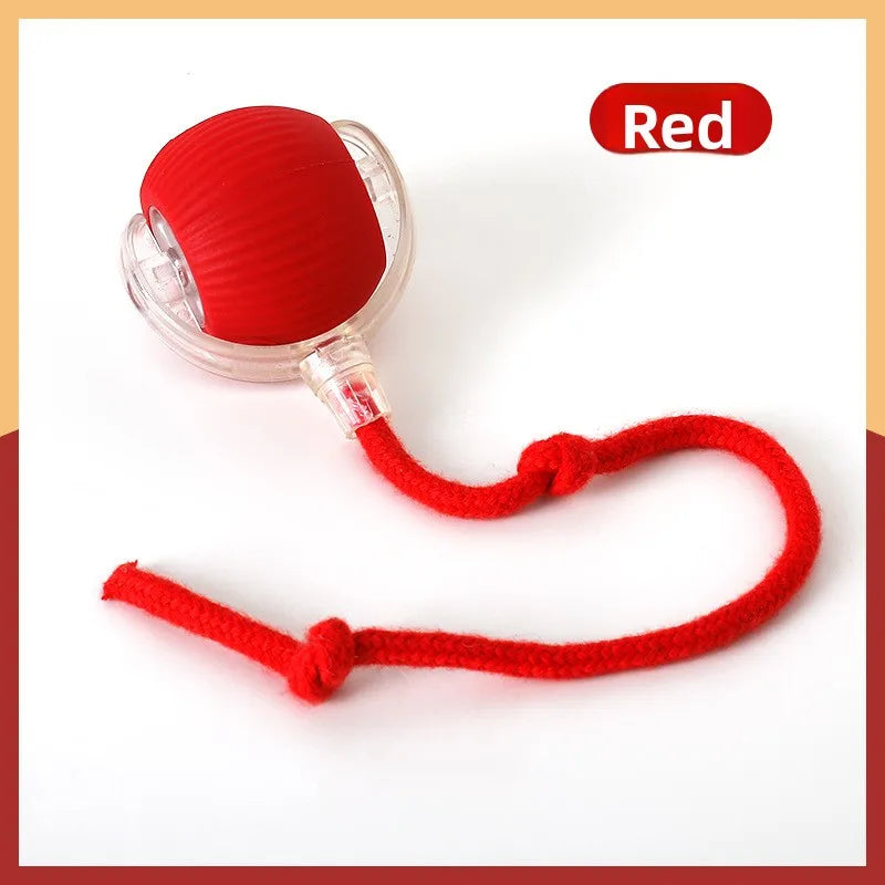 Smart Rolling Cat Ball – Self-Moving Interactive Toy