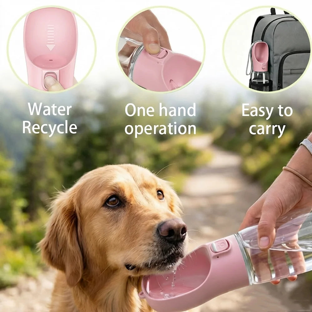 Walk & Sip Portable Dog Water Bottle