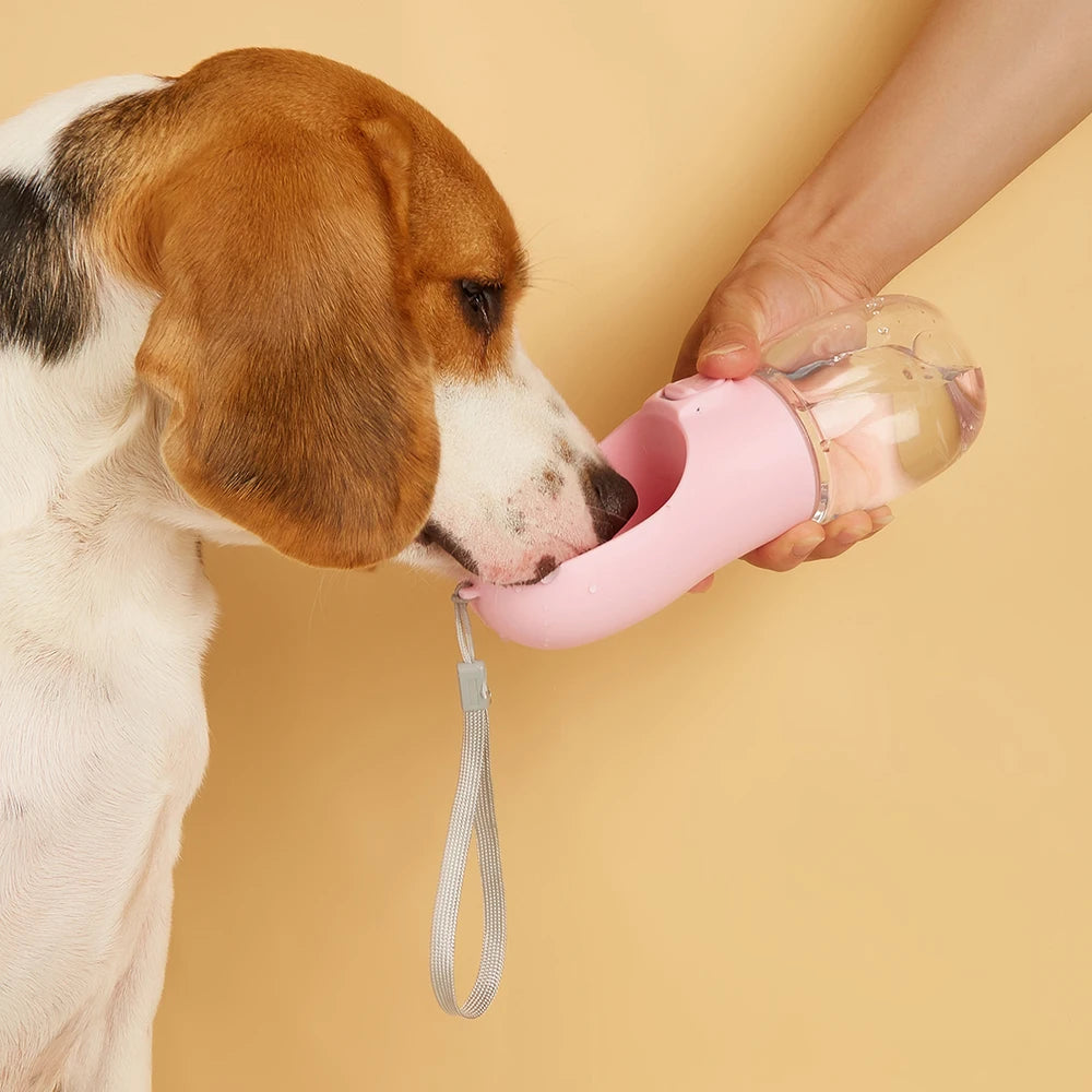 Walk & Sip Portable Dog Water Bottle